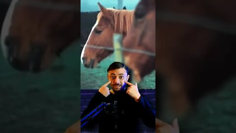 porque os cavalos perdem os olhos 🐎 🐴