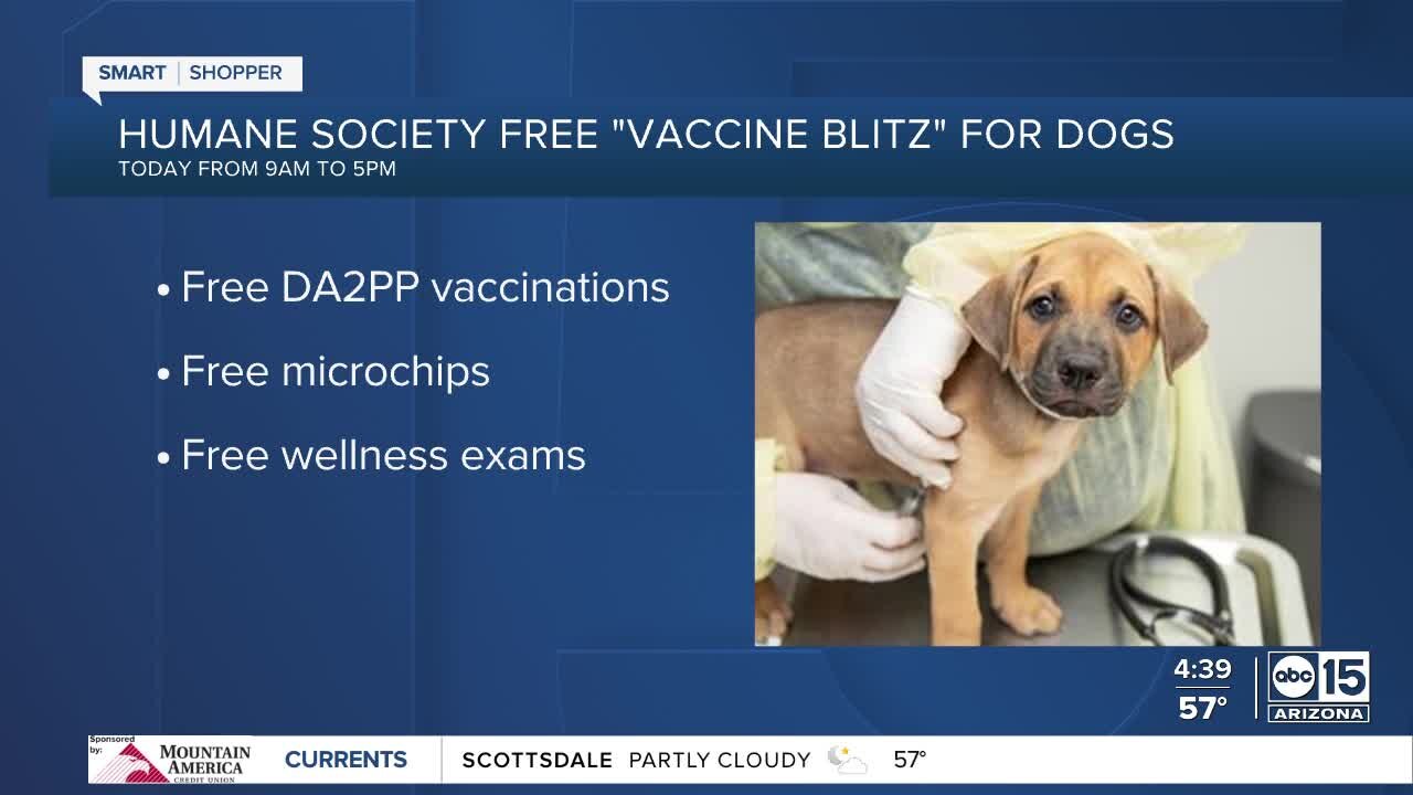 AZ Humane Society offering free vaccines for dogs on March 20