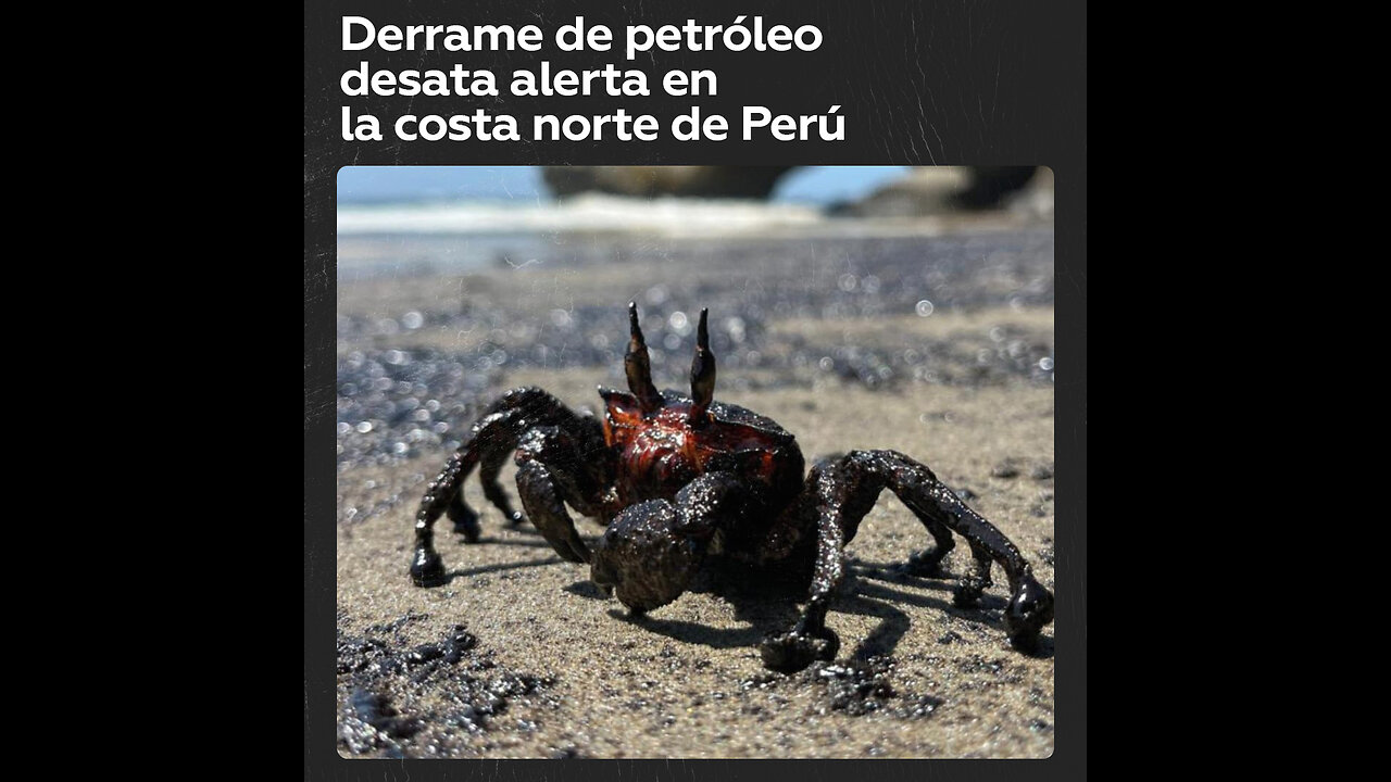 Alerta en Perú por derrame de petróleo en playa Las Capullanas