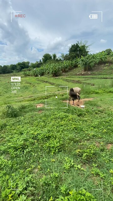 ธรรมชาติเป็นสิ่งที่น่าอัศจรรย์