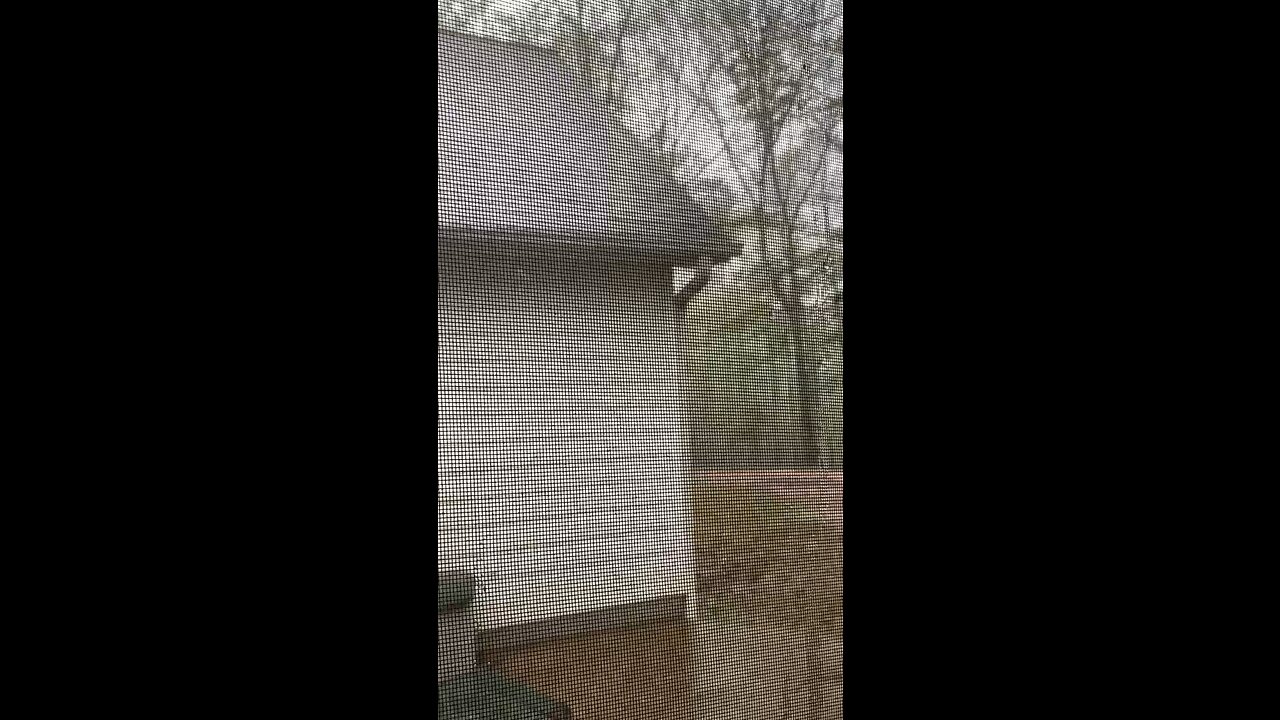 Hail Storm Columbus, GA/Phenix City, AL