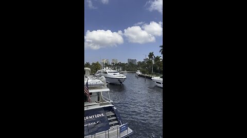 Busy day on the Inter coastal #florida #yacht #trend #viral