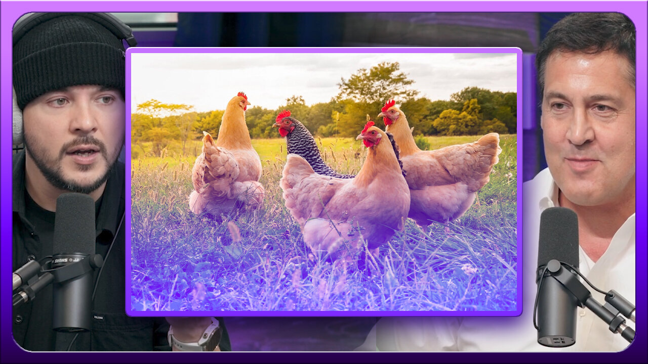 Chickens Will Make You HAPPY, Humans Were Meant To Be Farmers