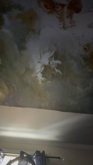 What kind of person you really are Fursuma