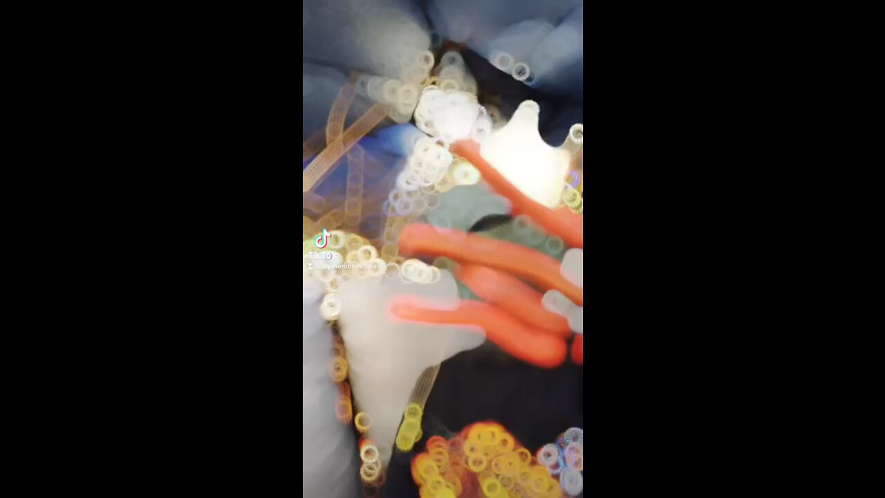 King Fingers coronation