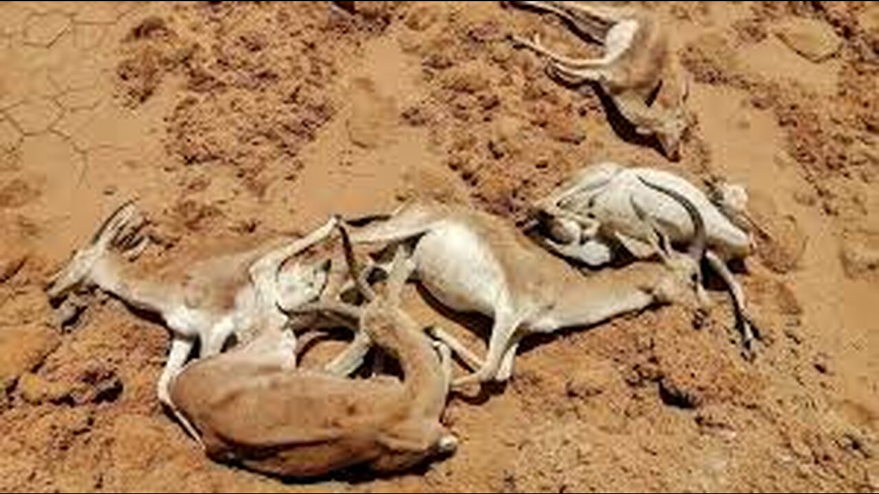 Dry season, departure into the unknown