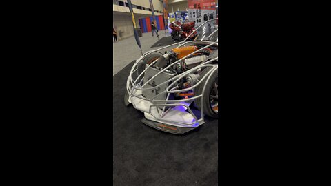 sick whips what is this ??