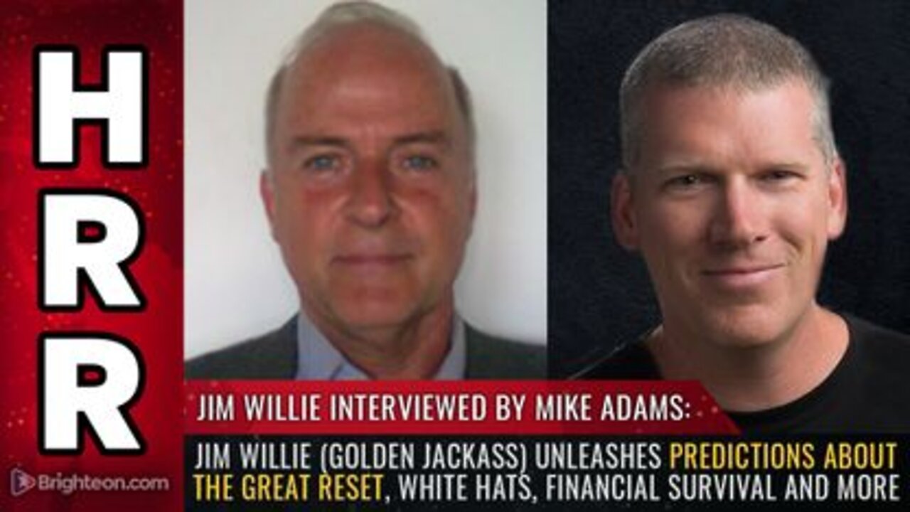 Jim Willie's PREDICTIONS About the Great Reset White Hats Financial Survival and More