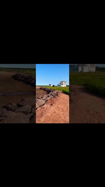 A path to avoid the beach