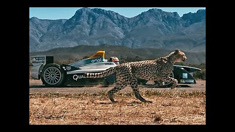 Drag Race: Formula E Car vs Cheetah