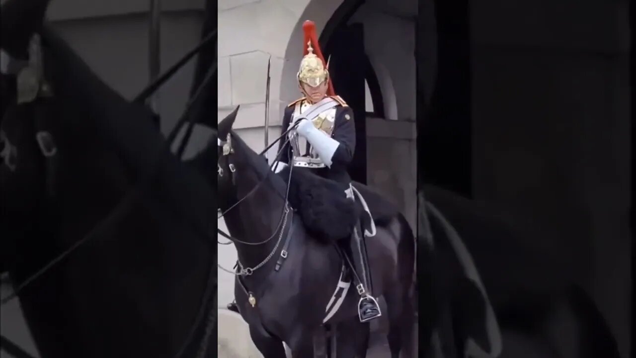 Queen’s guard screams at tourist for touching his horse’s rein.