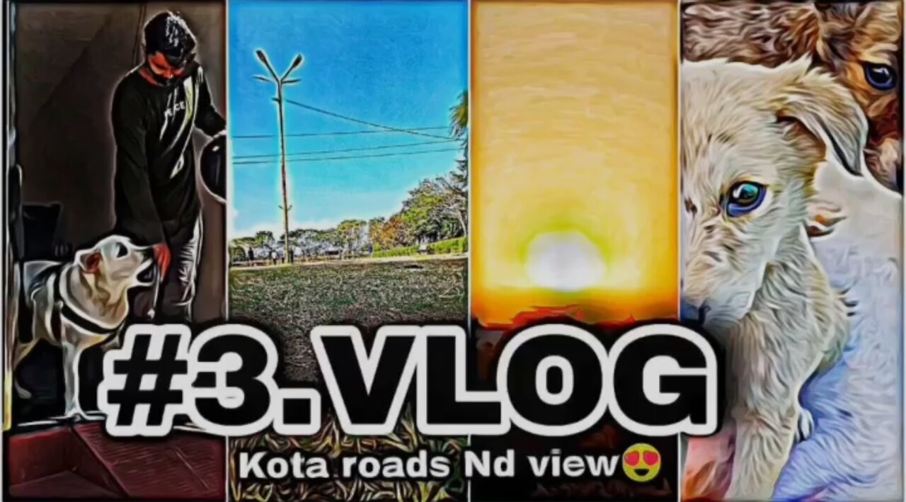 Vlog :- 3 KOTA roads and awesome view Dog lover