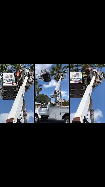 Tree trimmer rescued when bucket truck malfunctions 30 feet up
