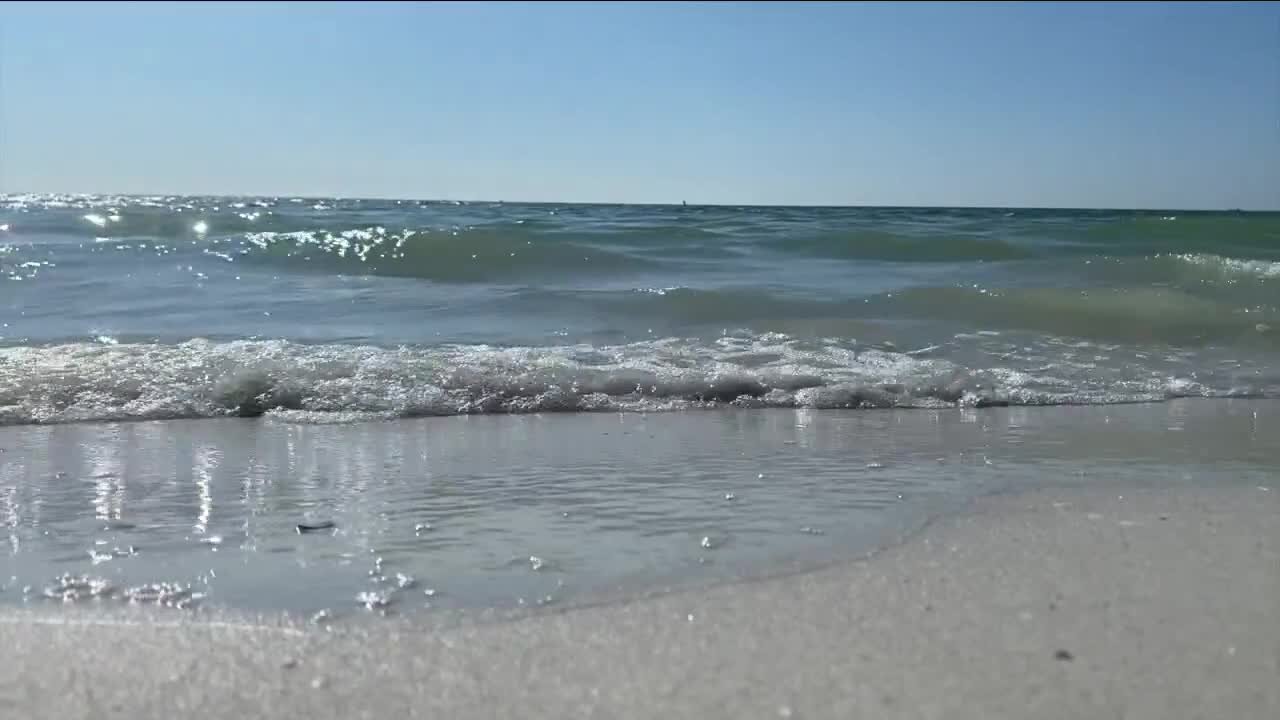 Respiratory warnings up for Sarasota, Manatee and Pinellas beaches over red tide