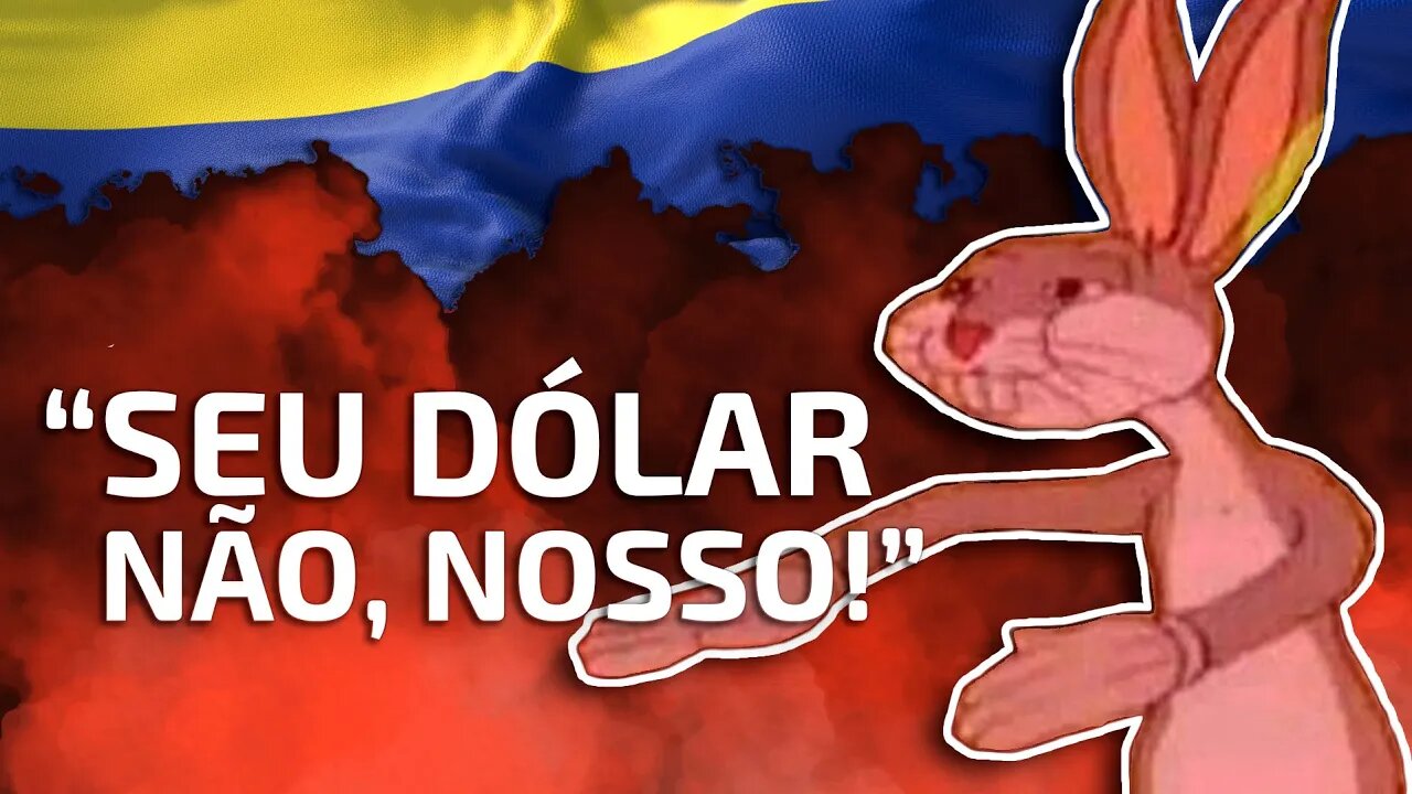 O QUE ACONTECERIA SE O BRASIL USASSE DÓLAR? SERIA O MELHOR A SE FAZER?