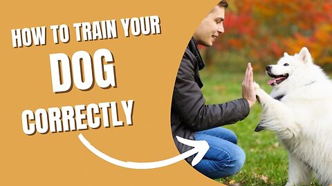 LEARN TO TRAIN YOUR DOG EASILY AND QUICKLY