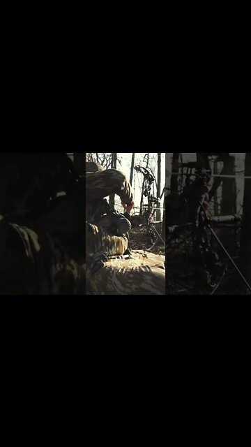 This week’s episode goes different than usual, two arrows launched, one Gobbler and one decoy😂