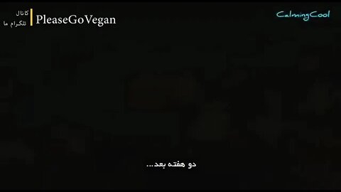 ۲۱ اوت ۲۰۲۲