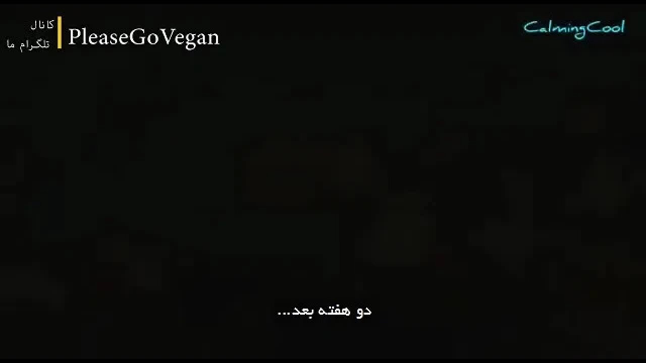 ۲۱ اوت ۲۰۲۲
