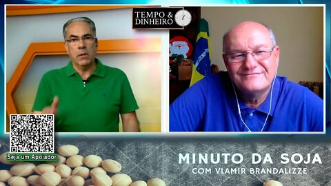 Soja pressionada pelas chuvas