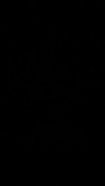 A Monday through Saturday job