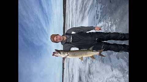 Big pike
