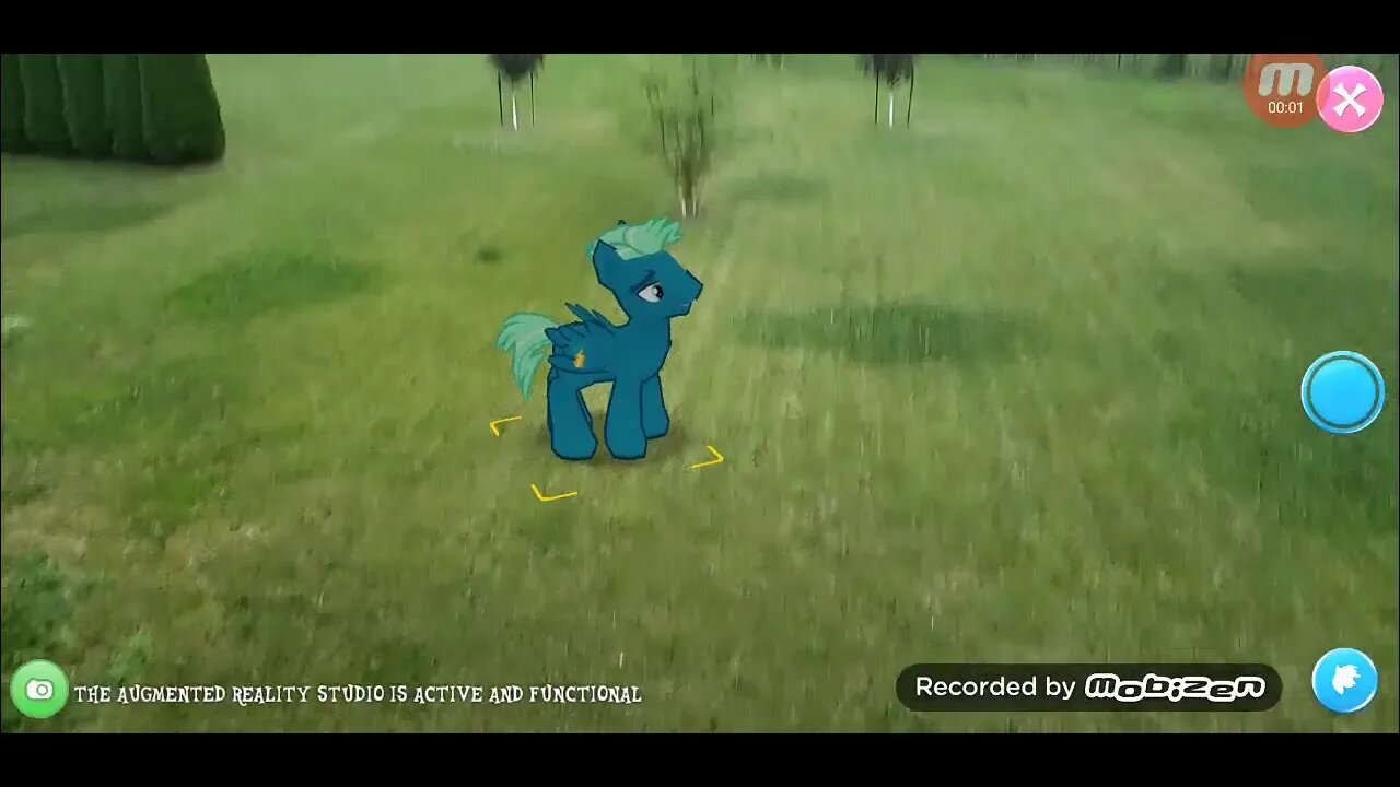 SKY STINGER CELEBRATES "20 20 20 20" with me!