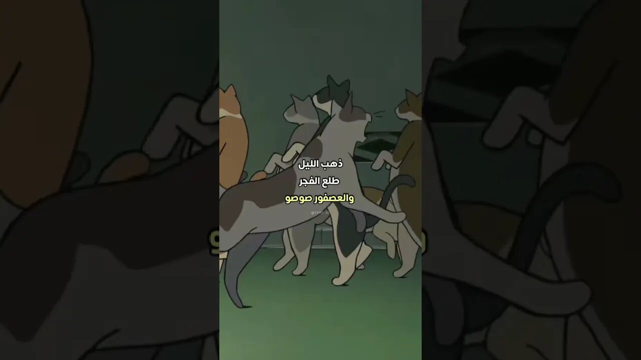 ذهب الليل 🌔