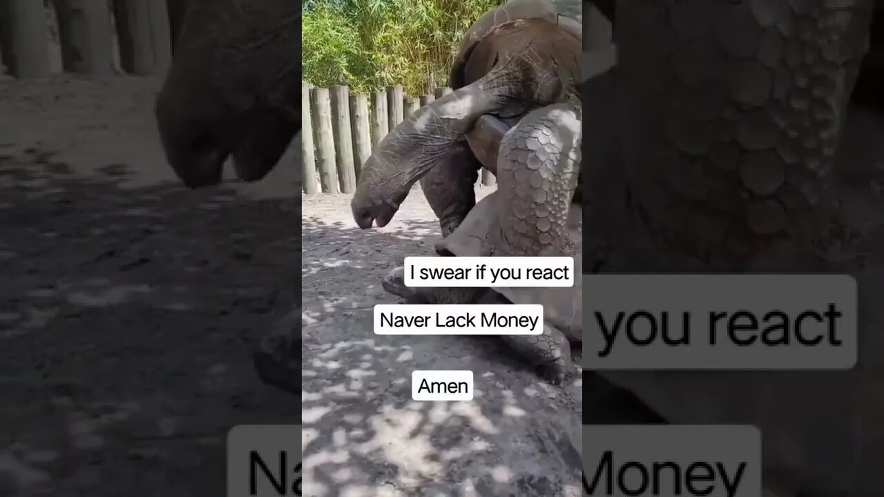 Meditation Music | Money Manifestation | Law of Attraction | TRM #Shorts