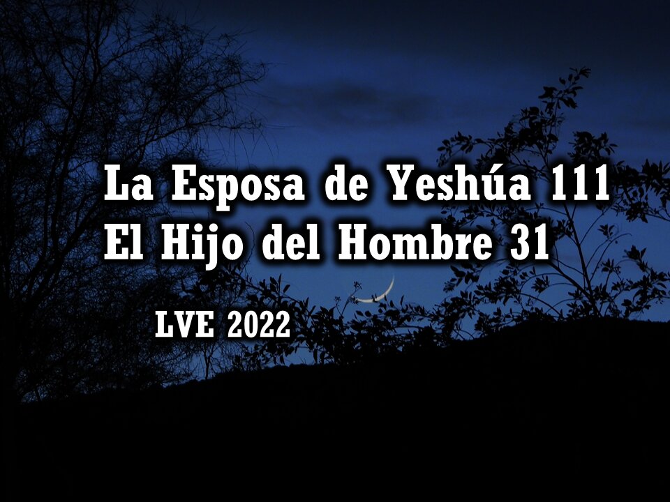 La Esposa de Yeshúa 111 - El Hijo del hombre 31