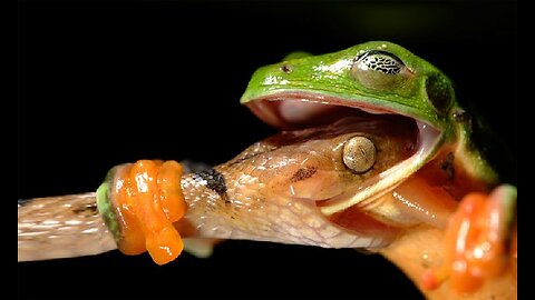 Perfectly Timed Photos To blow your mind