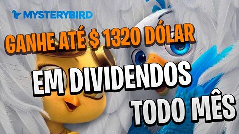 MYSTERY BIRD NFT - A mais recente plataforma de investimento । Investimento mínimo de $ 20 e sorteio
