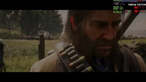 Red Dead Redemption 2 amd 3800x RTX 2080