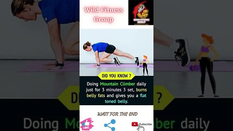 🔥Benefits of doing mountain climber exercise🔥#shorts🔥#wildfitnessgroup🔥19 June 2022🔥