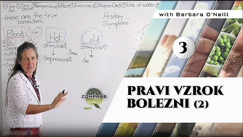 Kompas zdravja 3 | Pravi vzrok bolezni (2) | Barbara Oneill