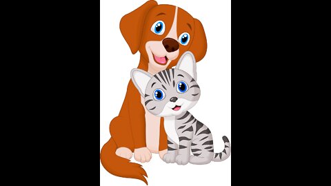 Cute Pets And Funny Animals Compilation