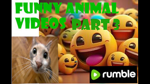 Funny Animal Videos Part 3