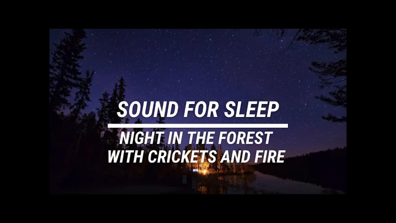Sound for sleep Night in the Forest with Crickets and Fire 3 hours