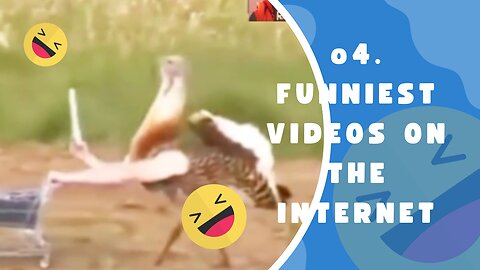 #funny video - funny moment/Top 04