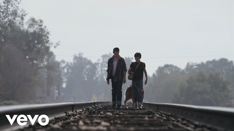 Avicci Hey brother video