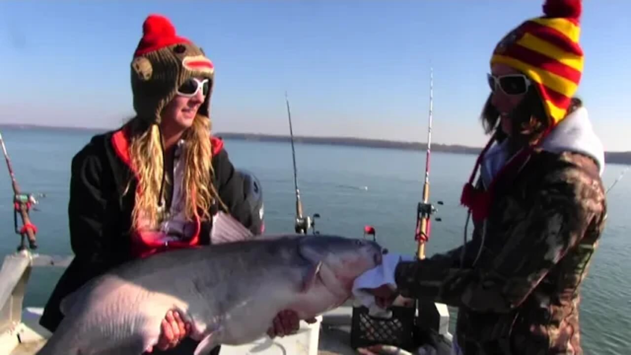 Catfishing with Bananas on a Cold Winters Day.