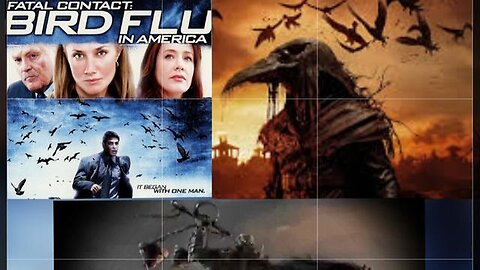 CORONAVIRUS AND BIRD FLU A FATAL CONTACT PLANDEMIC 2006 📹