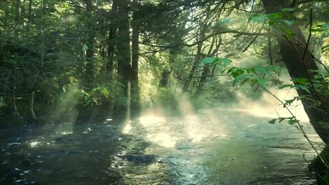 528 Hz Intense Brain Healing Frequencies, 30 Minute Full Body Healing