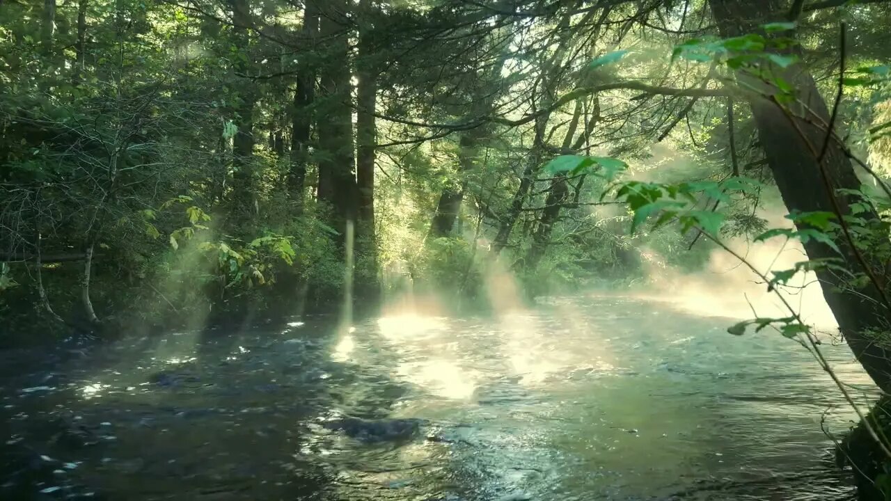 528 Hz Intense Brain Healing Frequencies, 30 Minute Full Body Healing