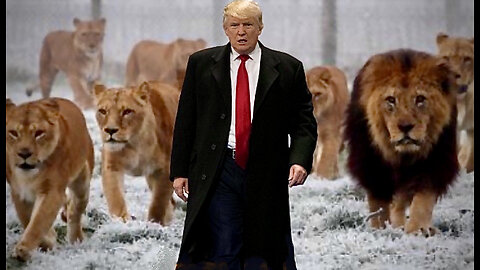 11/13/24 TRUMP's NOMINEE LIONS! Hammer Of Justice! MI AFB FEMA FF Threat #B2B2B