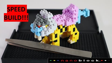 Raikou Pokémon Nanoblock Speed Build (NBPM_089)