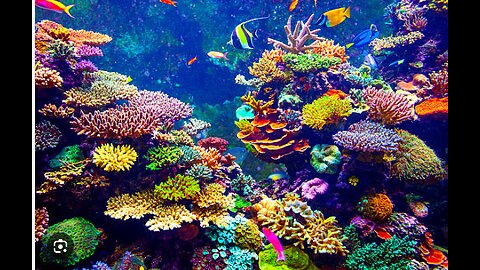 IT'S NOT JUST COCAINE SHARKS - CORALS TOO GET MEDICATED