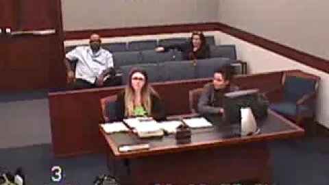 Horodesky vs. Johnson before Family Court Judge William Potter 1.21.15