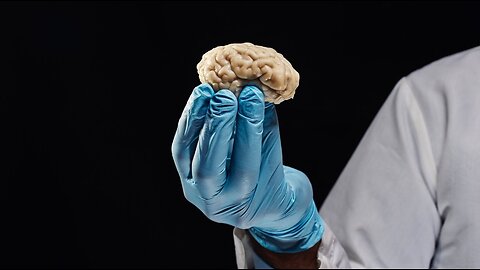 Supercharge your brain and improve your memory and focus with zero effort