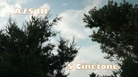 Sony A7s III S cinetone test 4K.